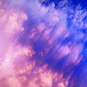 Meet your Posher, Mchanel